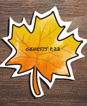 Design a Leaf craft