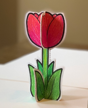 Create a Standing flower craft