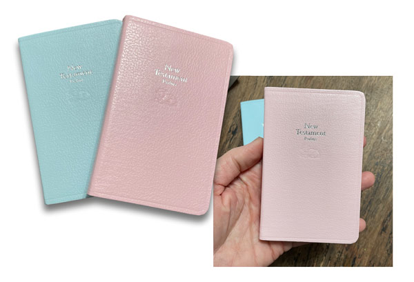  New Testament Psalms Bible Book image
