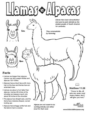 llamas  fact sheet image download