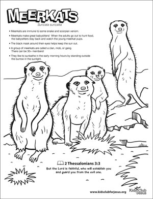 Meerkats coloring fact sheet image download