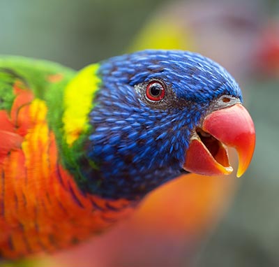 Photo by David Clode on Unsplash