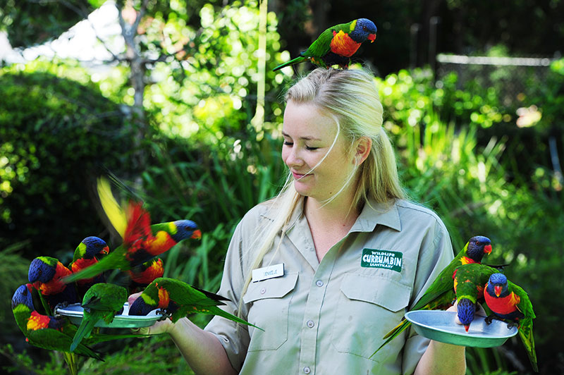 Currumbin Sanctuary, Australia 