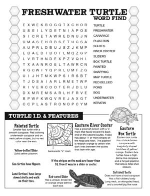 Turtles word find printout for kids