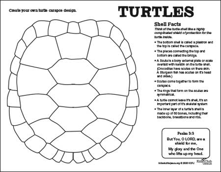 Turtles Shell Design coloring Sheet printout for kids
