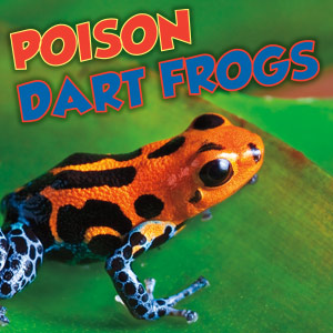 The Poison Dart Frog