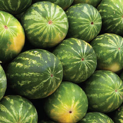 How to choose watermelons image