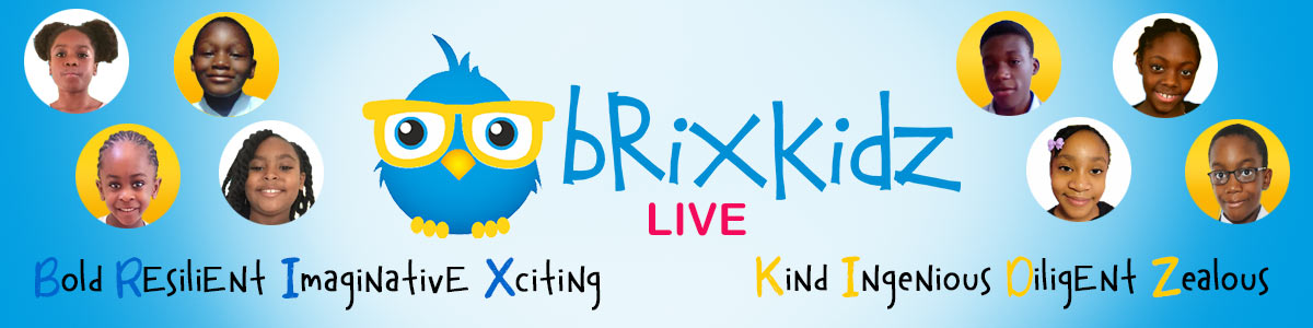 BrixKidz  program header image