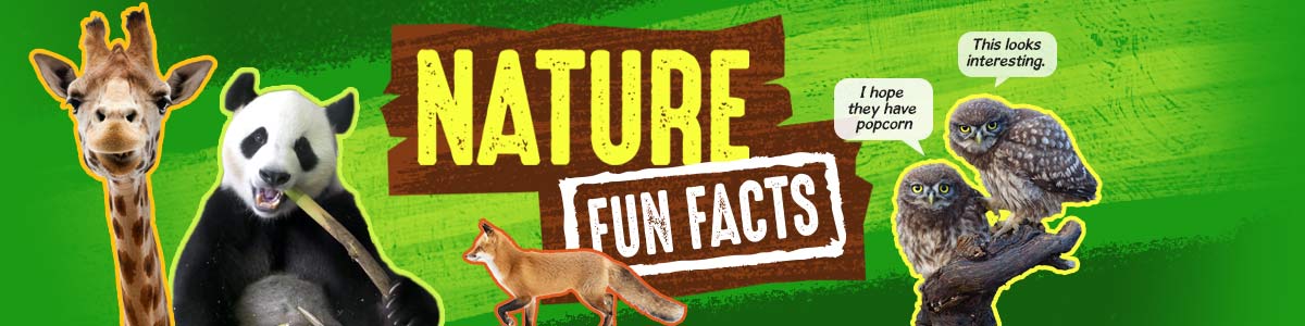 Nature  Fun Facts image banner
