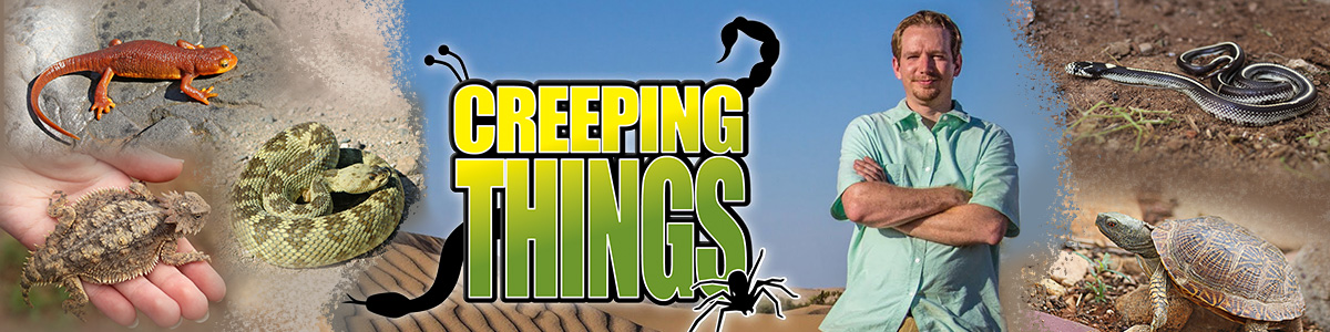 Creeping Things with Nathan Hutcherson