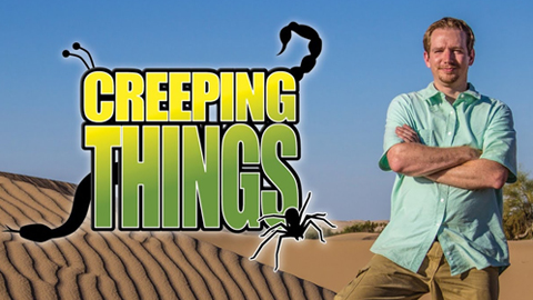 Creeping Things