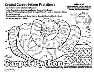 Central Carpet Python coloring fact Sheet for kids