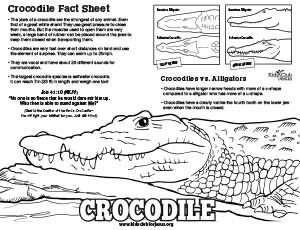 Crocodile nature fact sheet download image