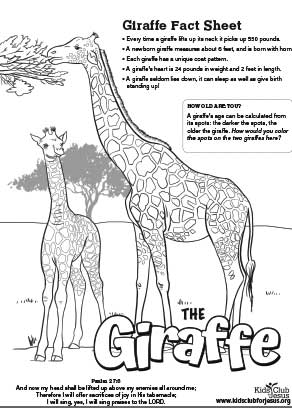 Giraffe fact sheet image download