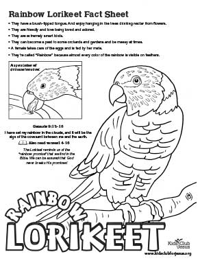 Free Lorikeet nature fact sheet for kids
