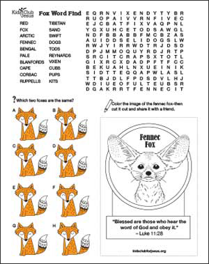Red Fox coloring fact Sheet for kids